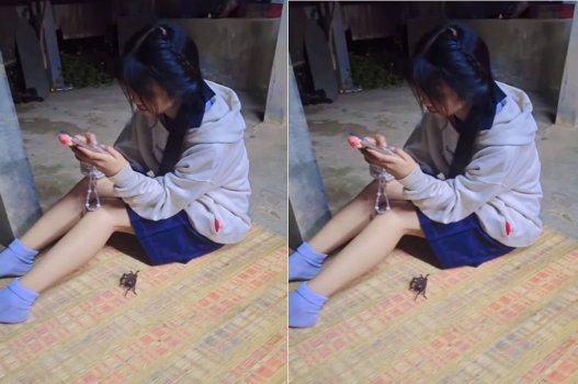 Chỉ cần ghé chơi cuối cùng, chúng ta sẽ cùng nhau thỏa mãn nhu cầu